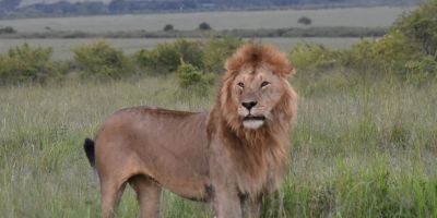 Tanzania Safari Destination